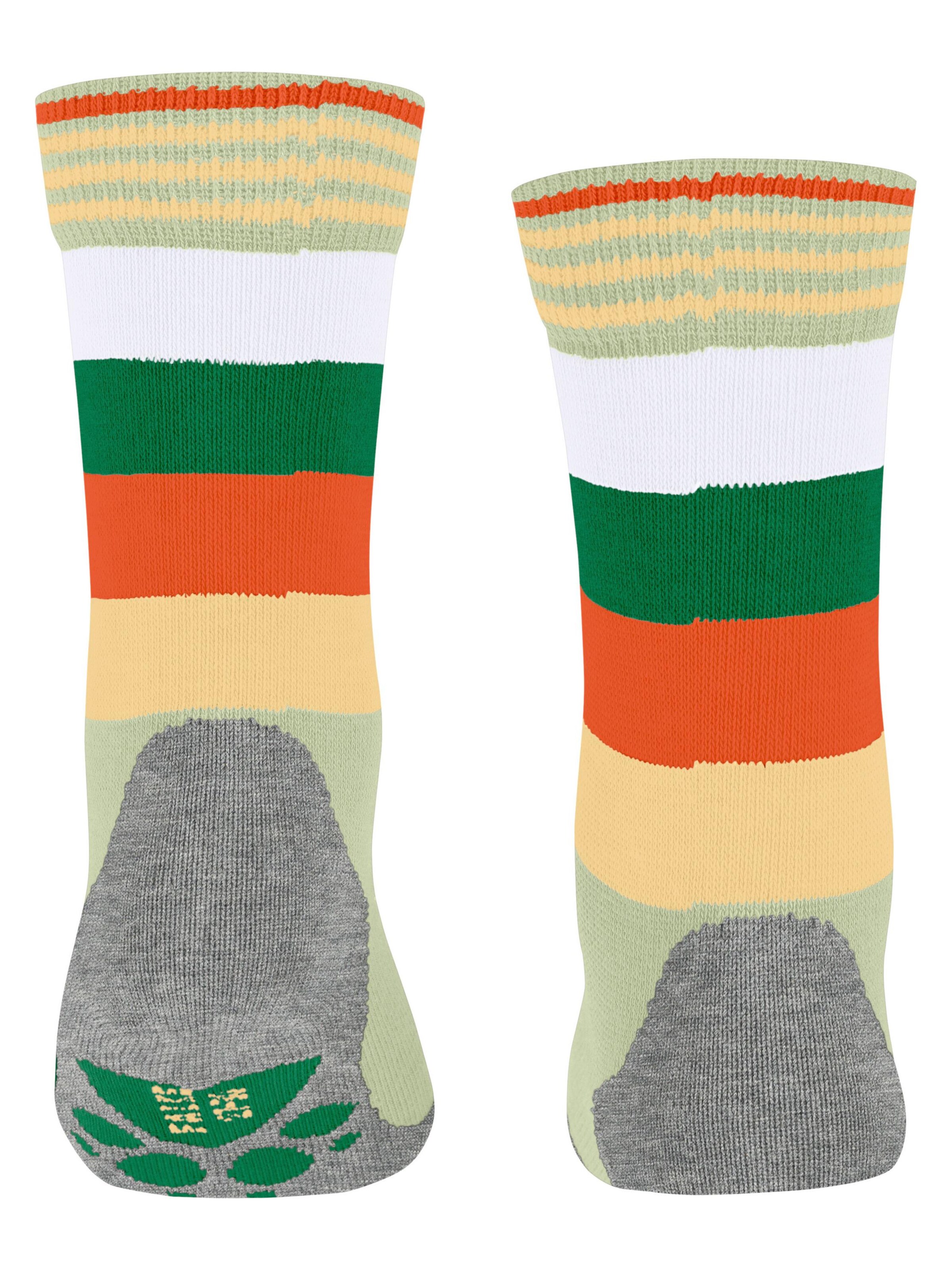 FALKE Socks 'Active Fox' in Green