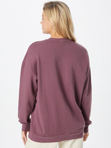 Iriedaily Sweatshirt 'Flaglie' i lilla