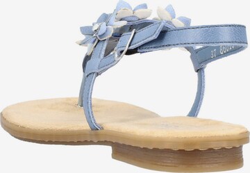 Rieker T-Bar Sandals in Blue