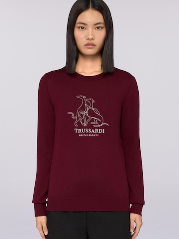 Trussardi Sweater in Brown