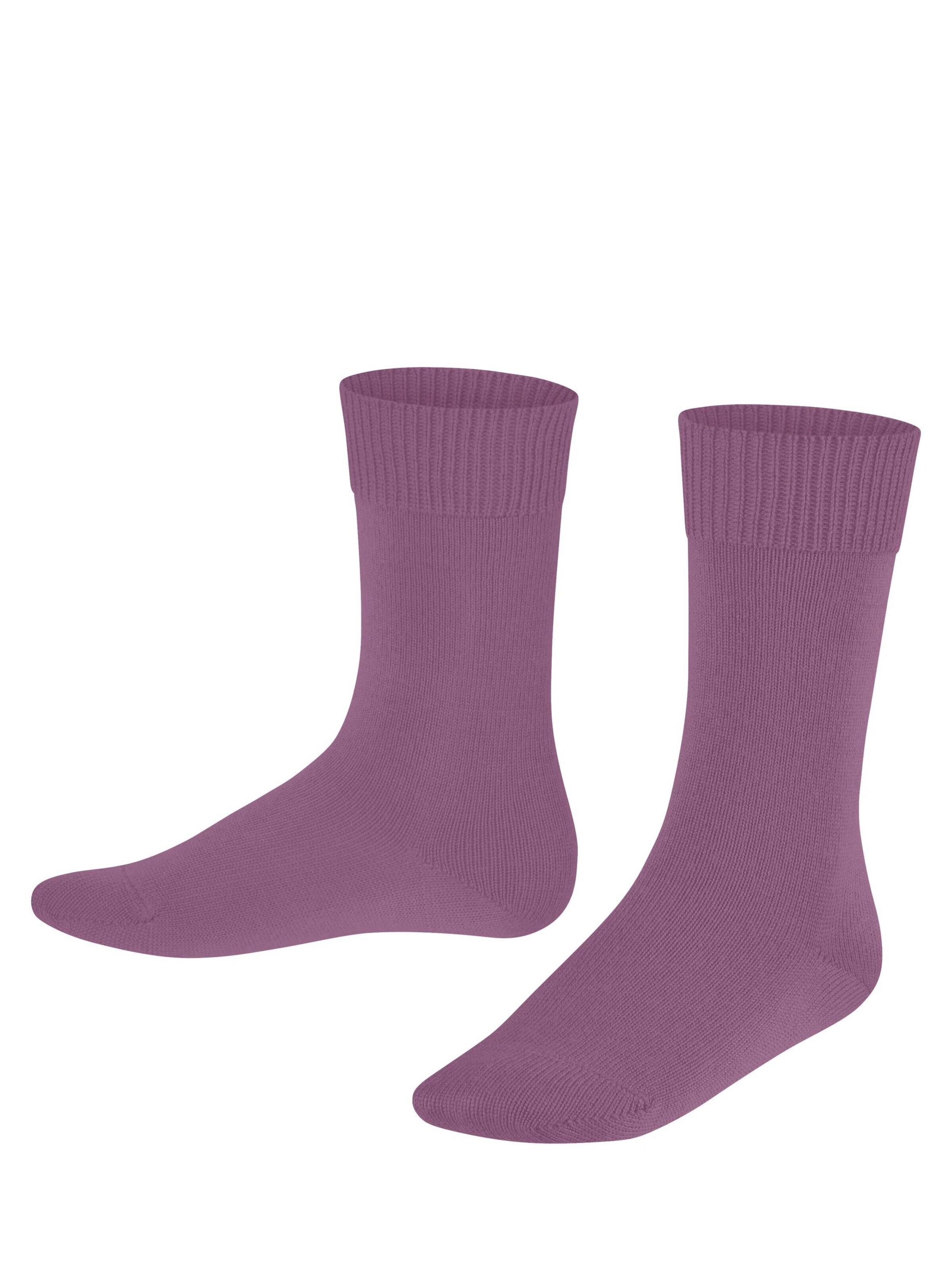 FALKE Socks 'Comfort Wool' in Pink: front