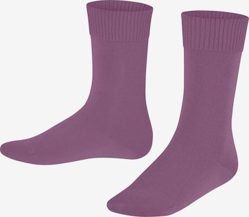 FALKE Socks 'Comfort Wool' in Pink: front