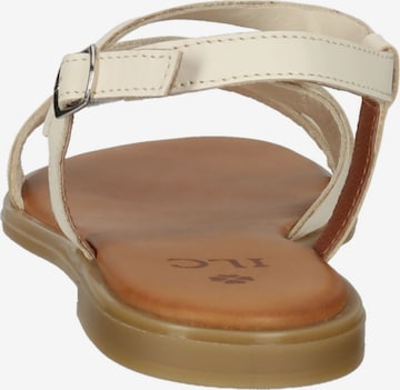 ILC Strap Sandals in Beige