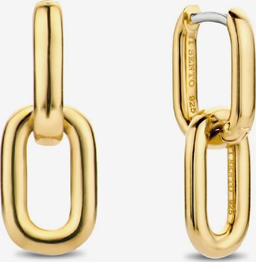 Ti Sento Milano Earrings in Gold: front