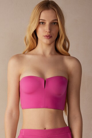 INTIMISSIMI Bandeau BH in Pink: Vorderseite
