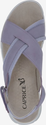 CAPRICE Sandals in Purple