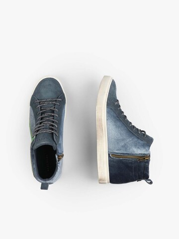 Scalpers High-top trainers 'Studs Velvet' in Blue