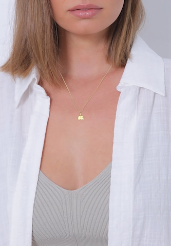 ELLI PREMIUM Ketting 'Elefant' in Goud: voorkant