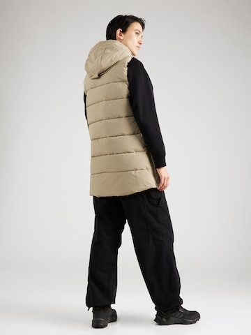 ICEPEAK Sports Vest 'Akene' in Beige