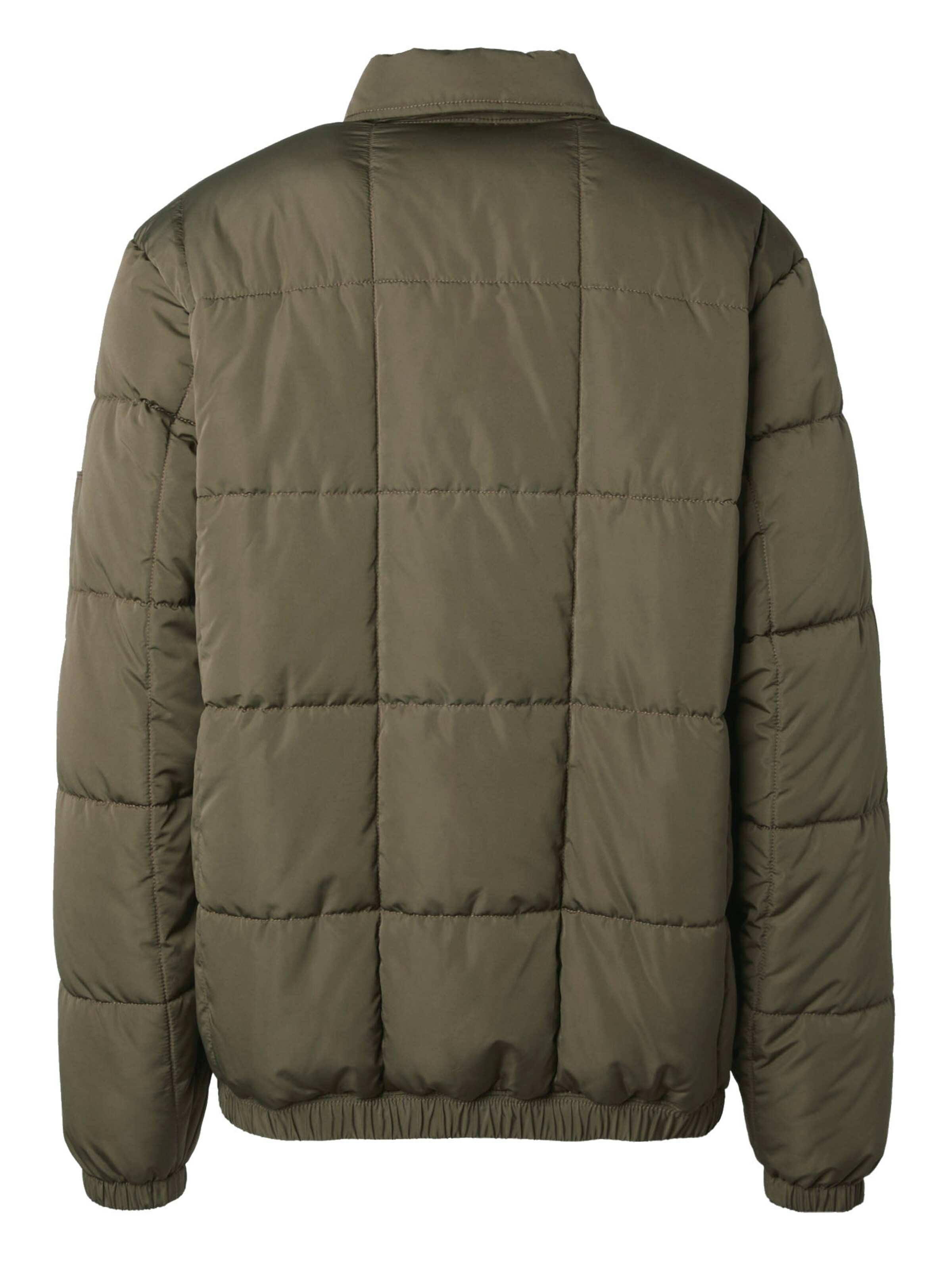 DICKIES Winter Jacket 'Eisenhower' in Green