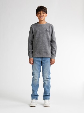 Petrol Industries Sweatshirt in Grijs