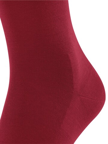 FALKE Socken 'ClimaWool'‌‌‌‌‌‌‌‌‌ in Rot