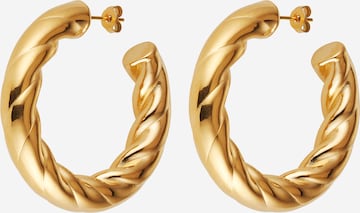 Karolina Kurkova Originals Earrings 'Arven' in Gold: front