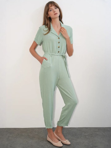 Bigdart Jumpsuit in Green