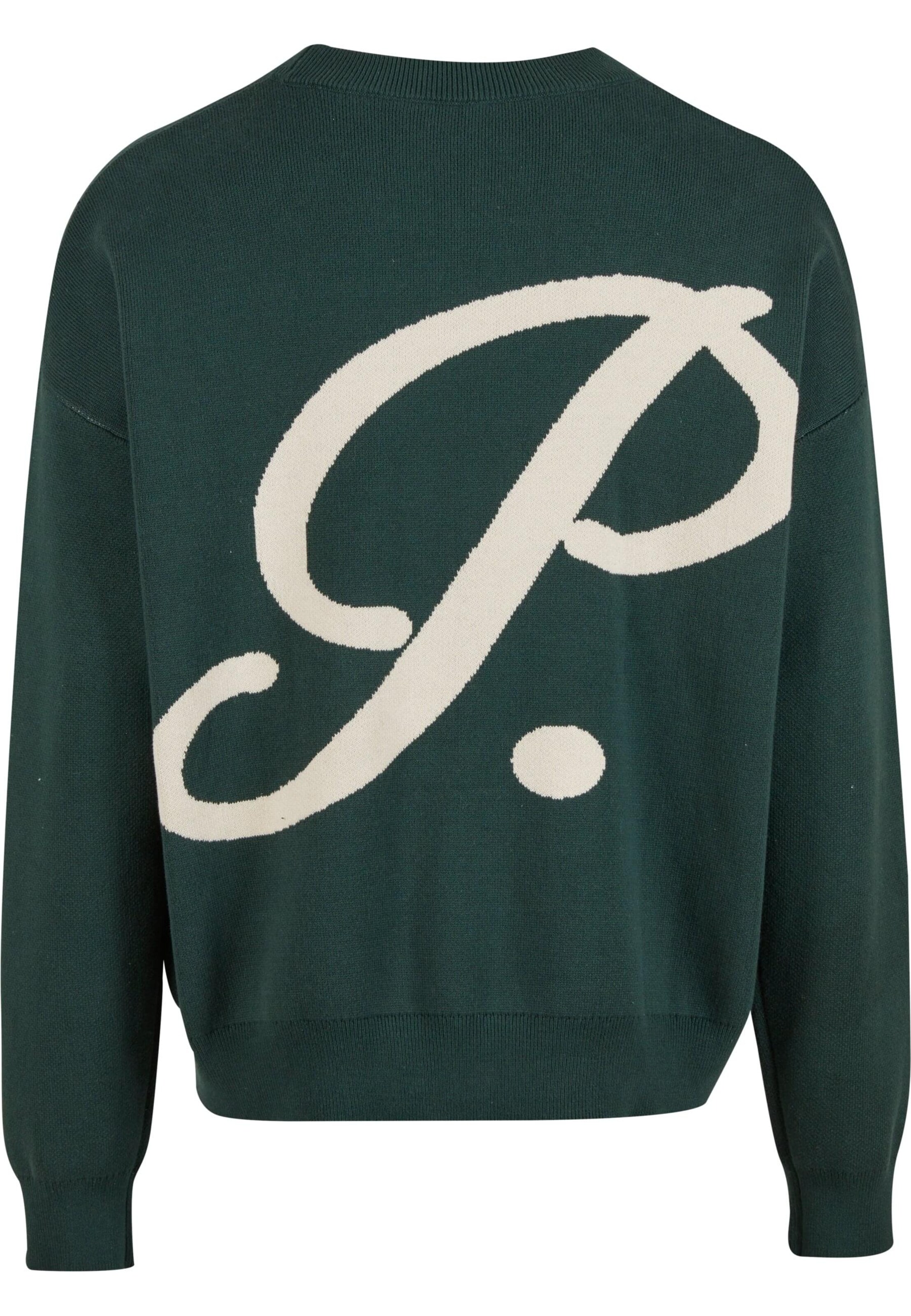 Prohibited Pullover 'Brixton' in Grün