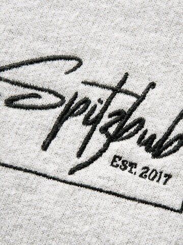 Sweat-shirt ' Jasper ' SPITZBUB en gris