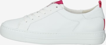 Paul Green Sneakers in White