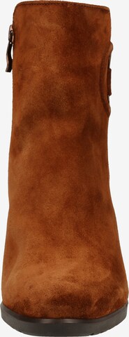 ARA Ankle Boots in Brown