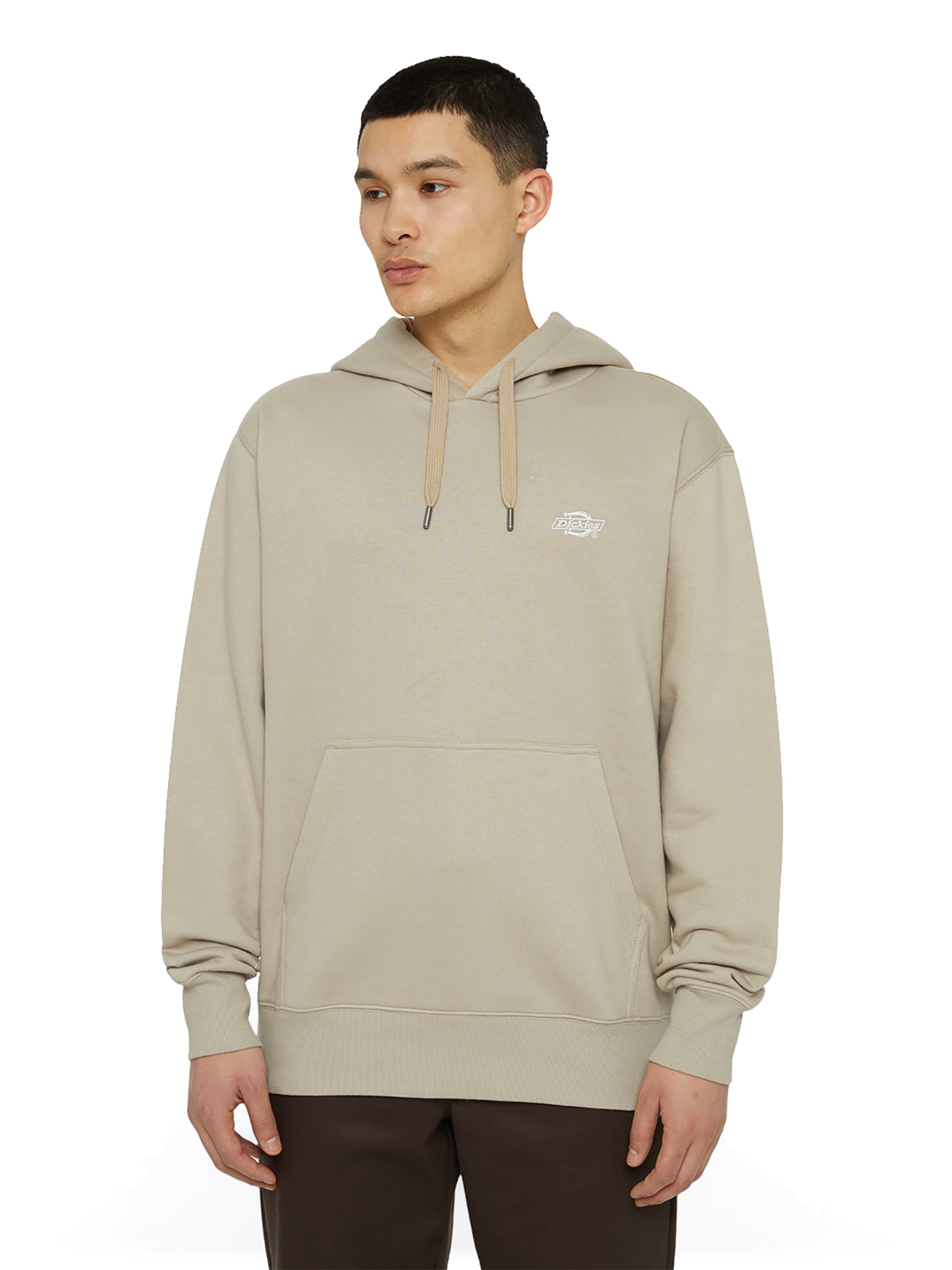 DICKIES Sweatshirt 'SUMMERDALE' in Beige: Vorderseite