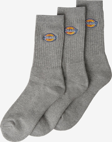 DICKIES - Calcetines en gris: frente