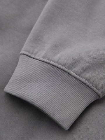 Ombre - regular Pantalón deportivo en gris