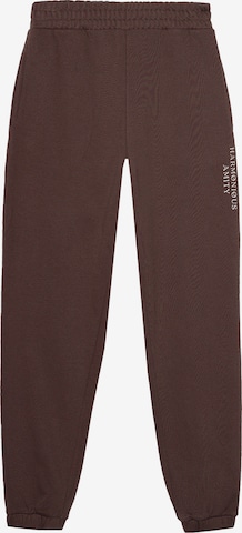 Regular Pantalon de sport 4F en marron : devant