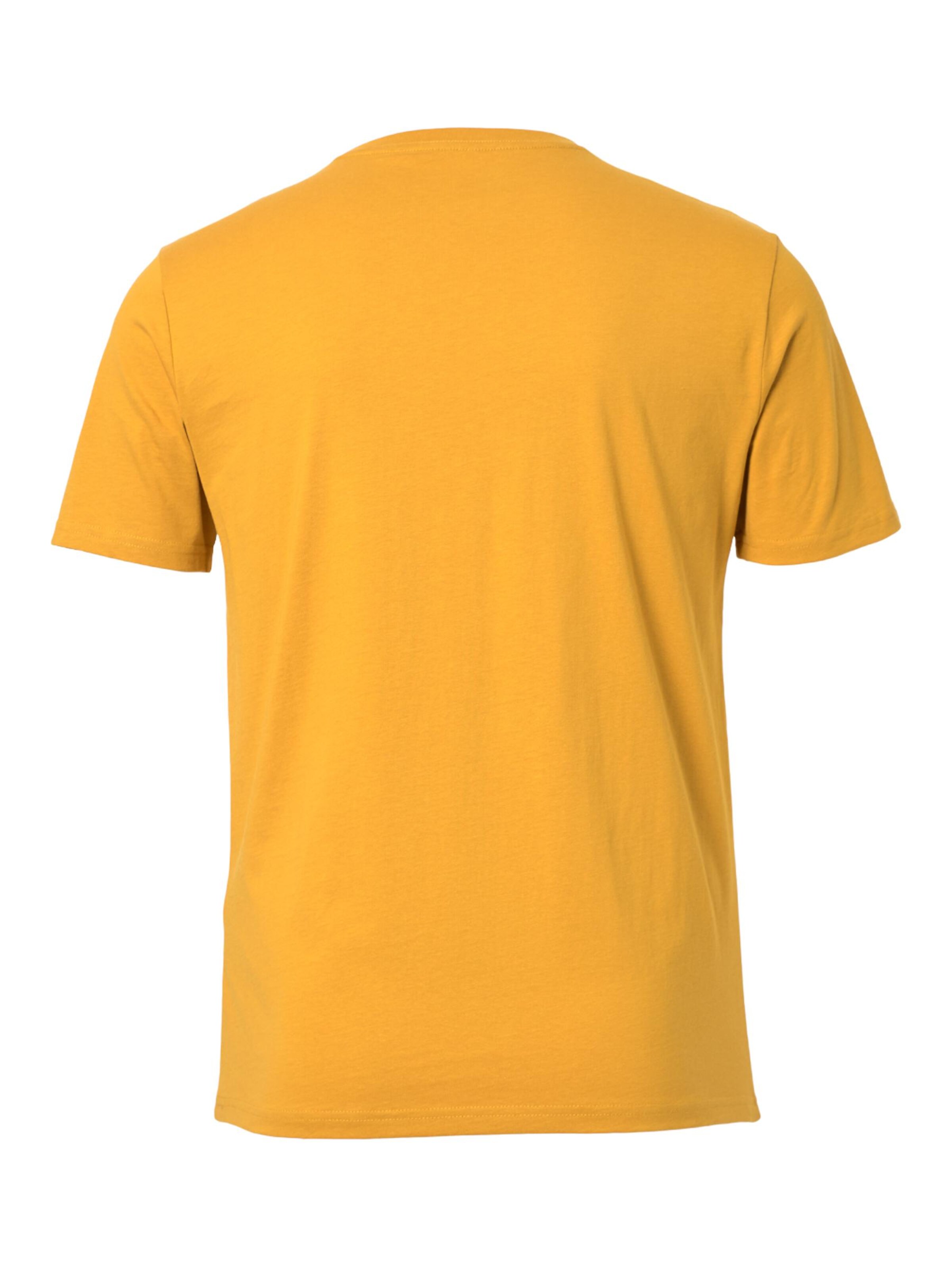 FORSBERG Shirt in Orange