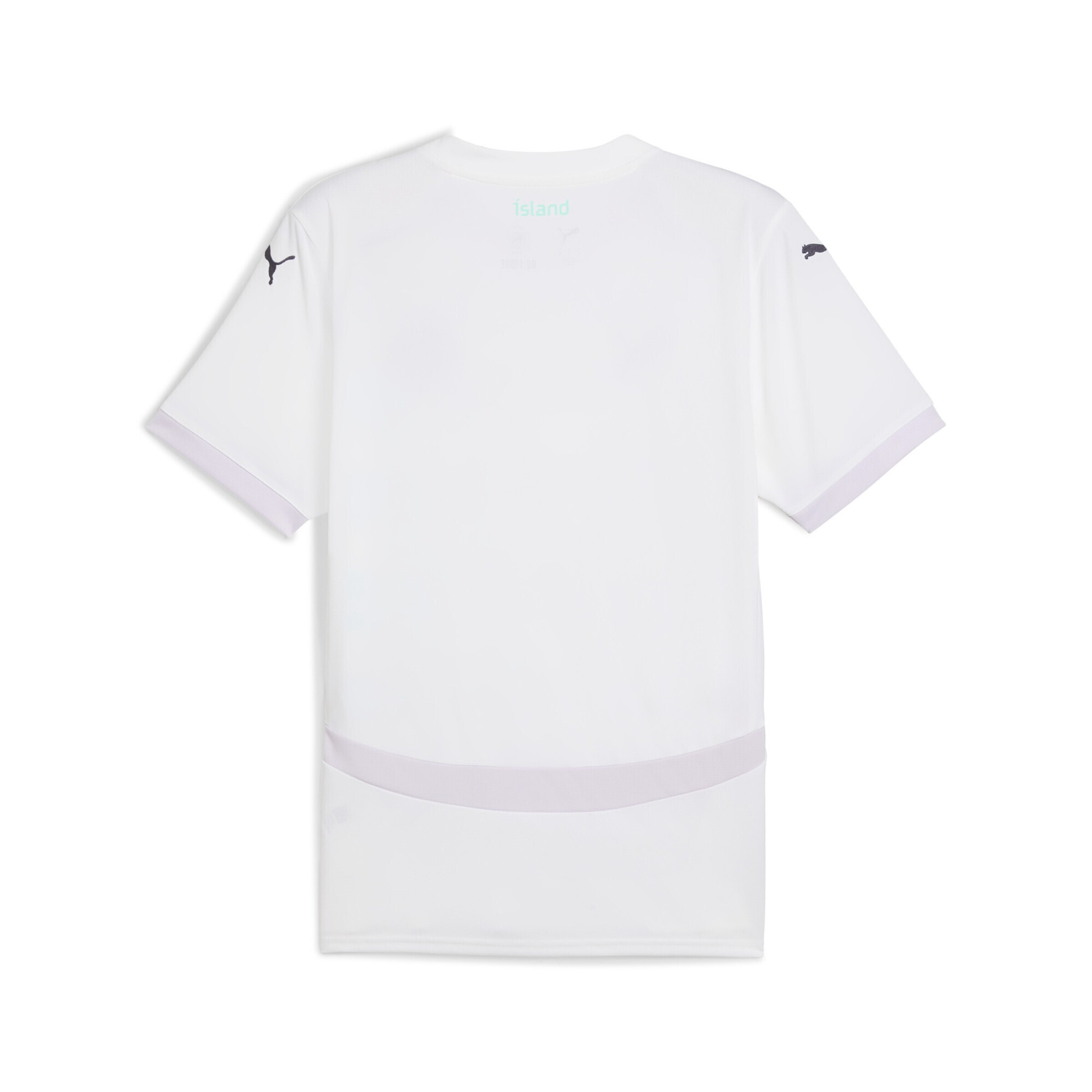 PUMA Trikot 'Island Team 2025' in Weiß