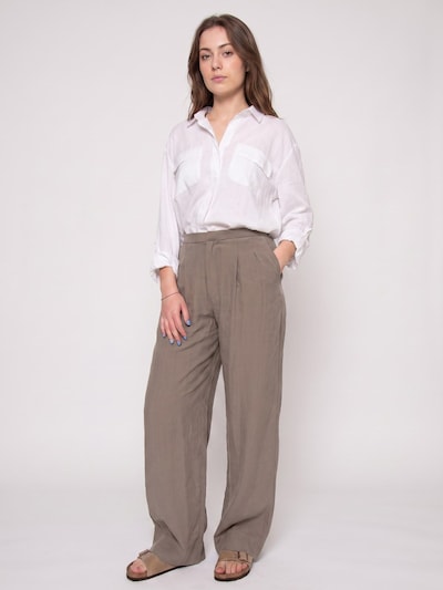 elvine Pants 'LANA_WS PANT CLAY' in 30 in Brown, Item view