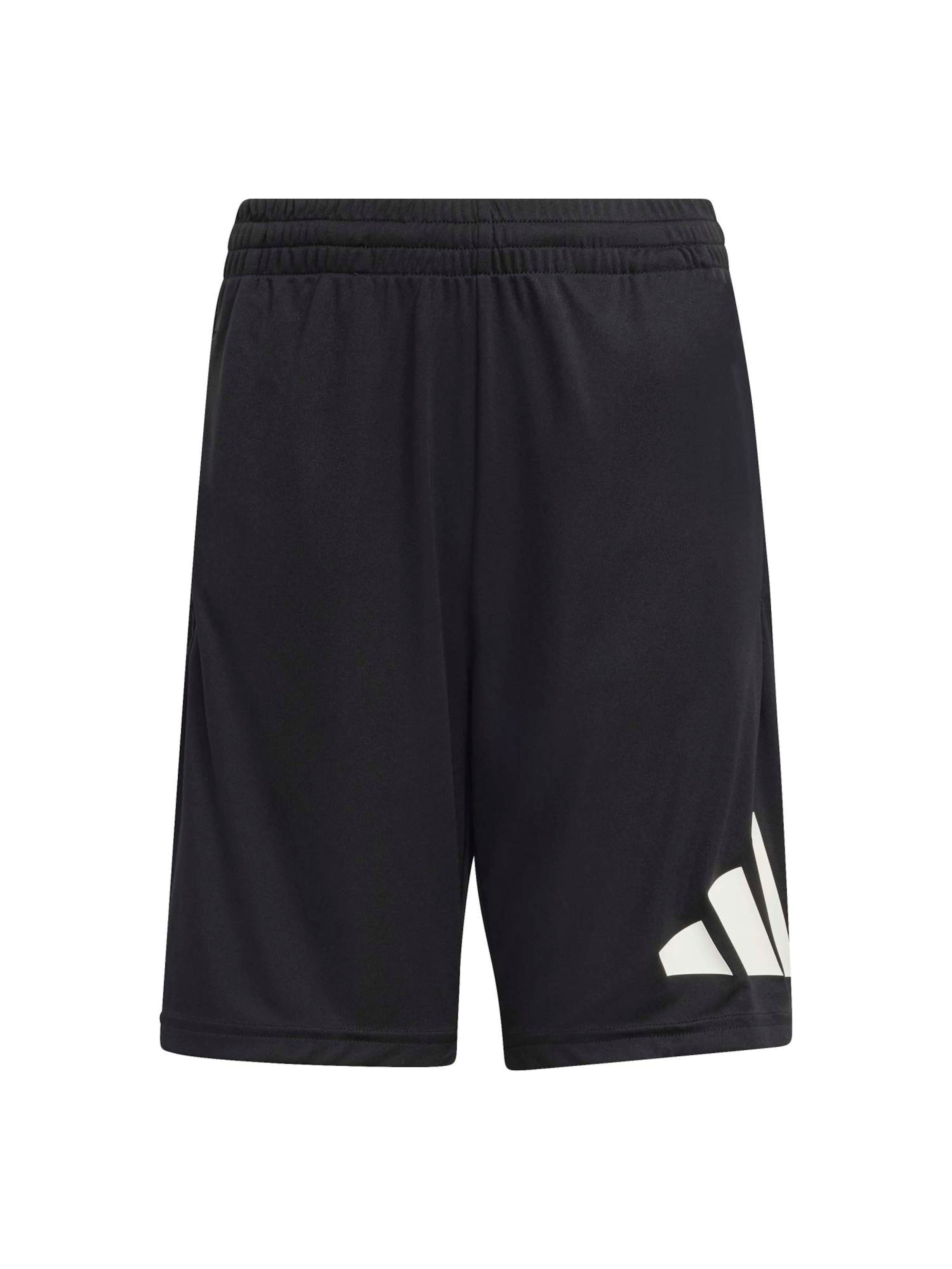 ADIDAS SPORTSWEAR - regular Pantalón deportivo 'TR-ES' en negro: frente
