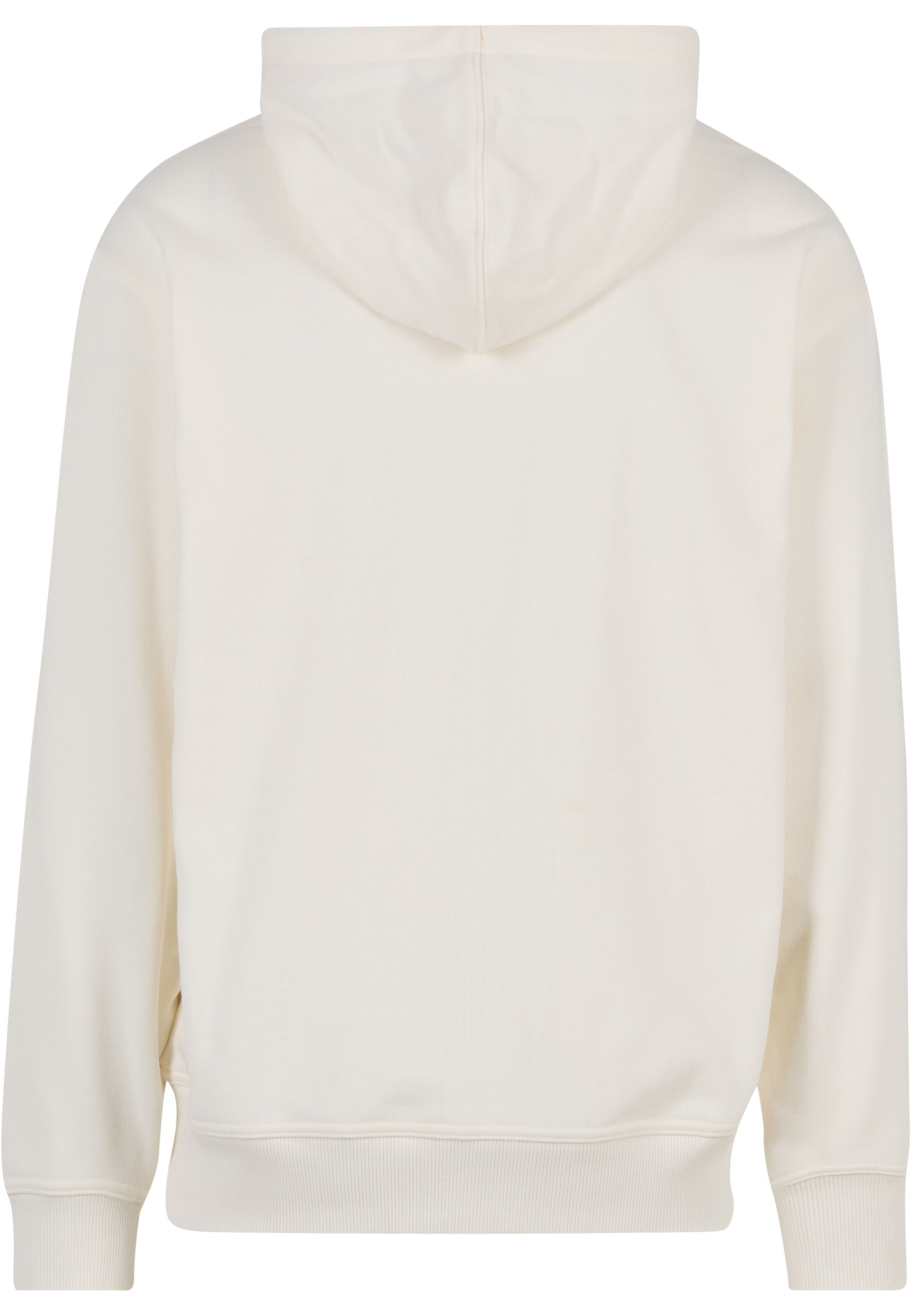 DICKIES Sweatshirt 'Williston' in Weiß