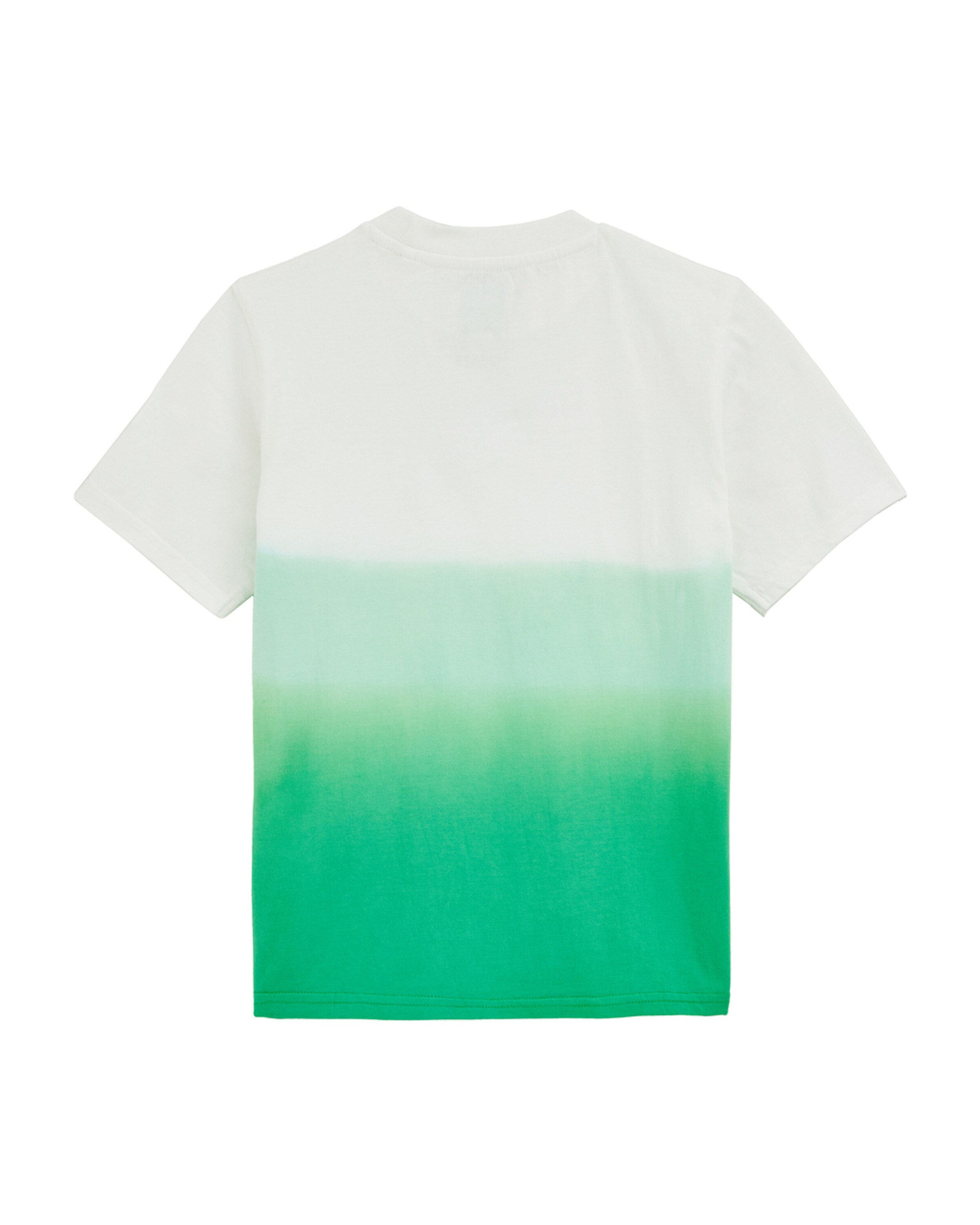 WE Fashion Shirts i grøn