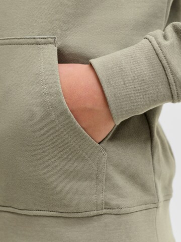 Jack & Jones Junior Sweatshirt 'JJEArchive' in Green