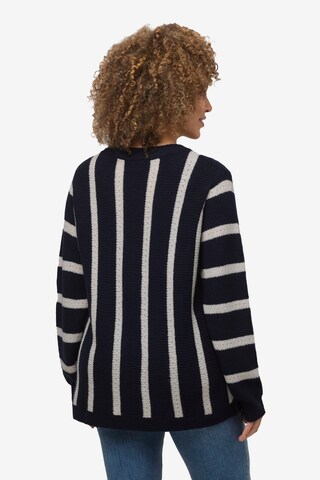 Ulla Popken Pullover in Blau