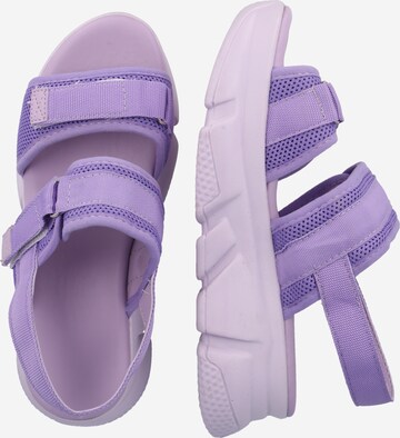 Sandales à lanières Trendyol en violet