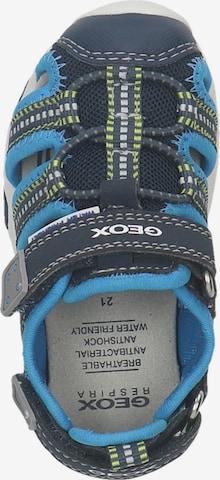 GEOX Sandale 'Multy' in Blau