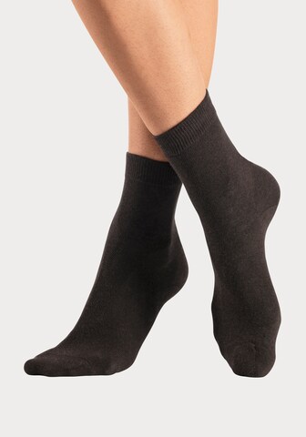 LASCANA Socken in Lila