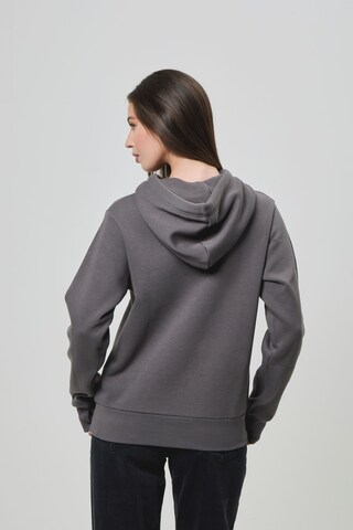 BENCH Sweatshirt in Grau