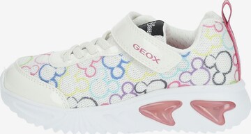 Baskets GEOX en blanc