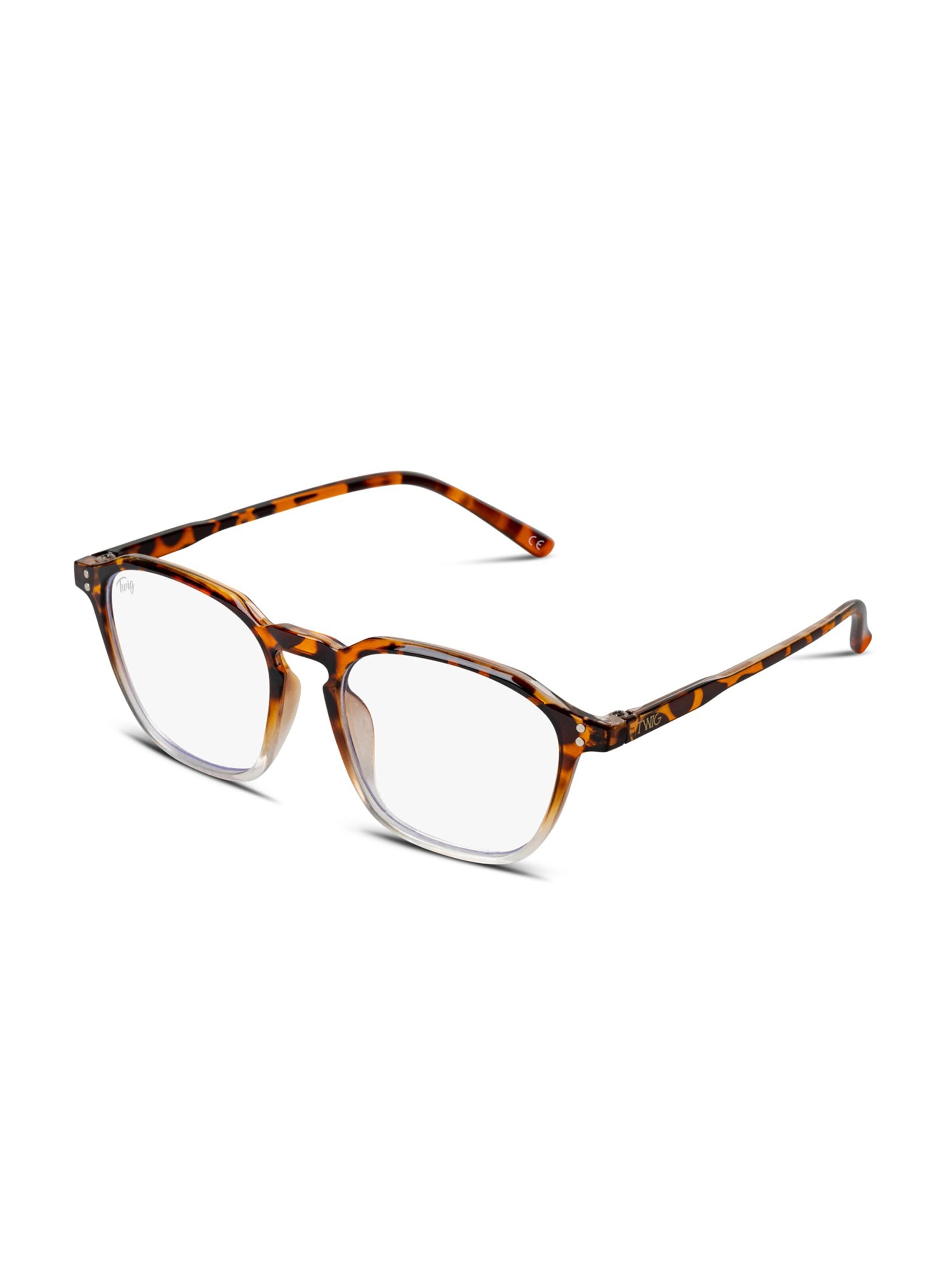 TWIG Concept Milano Glasses 'Baudry' in Brown: front