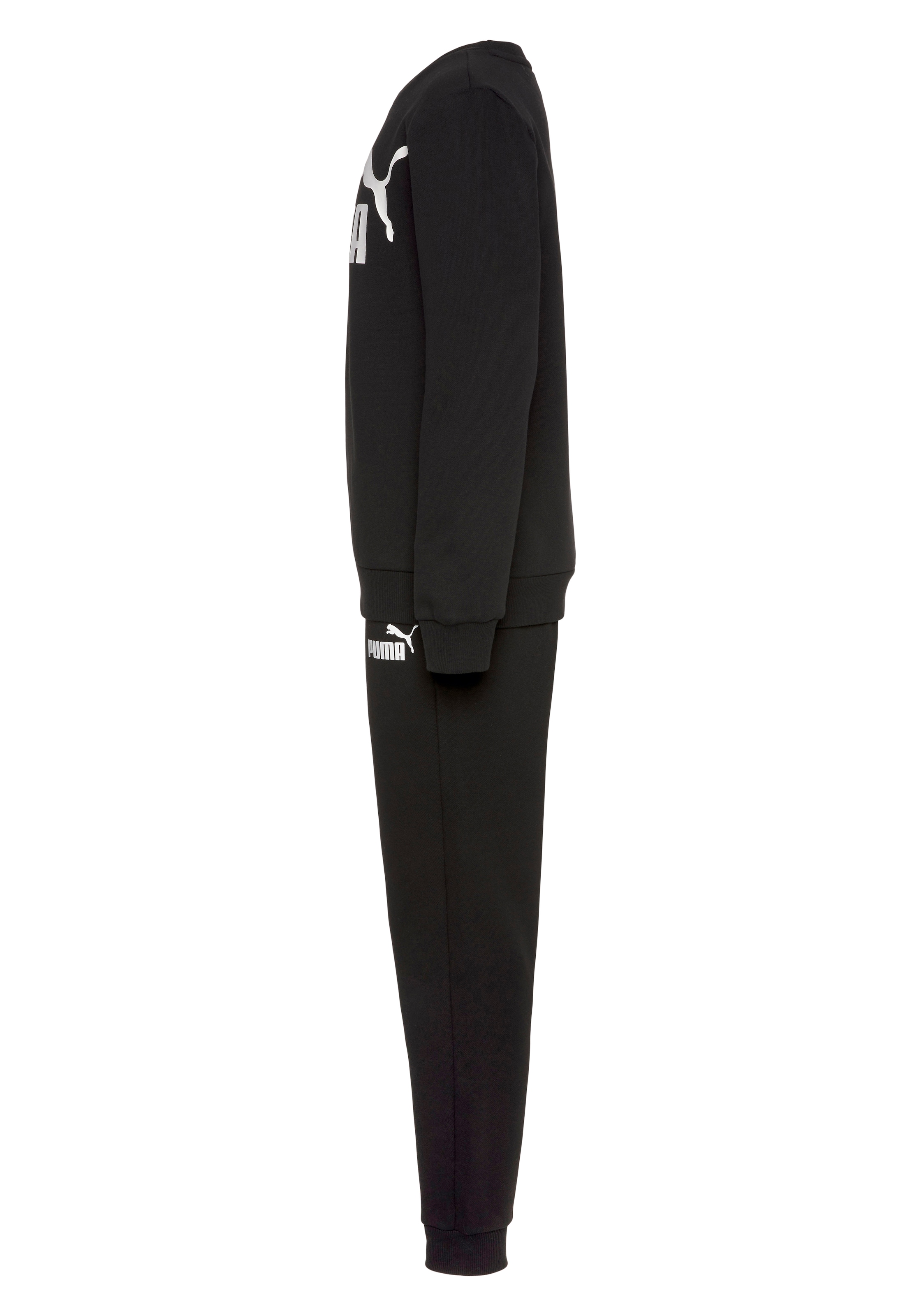Puma amplified sweat suit new arrivals