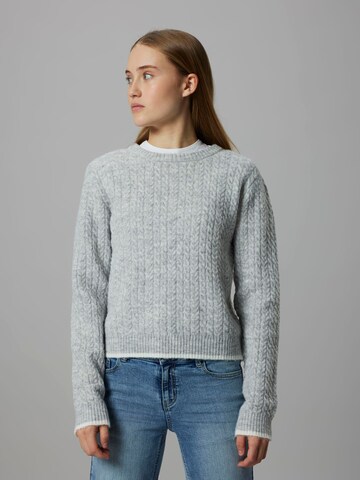 LMTD - Jersey en gris: frente