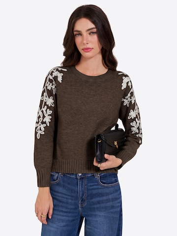 Imily Bela Sweater in Brown
