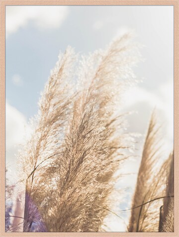 Liv Corday Image 'Against Blue Sky' in Brown: front