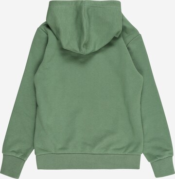 Champion Authentic Athletic Apparel Sweatshirt in Grün