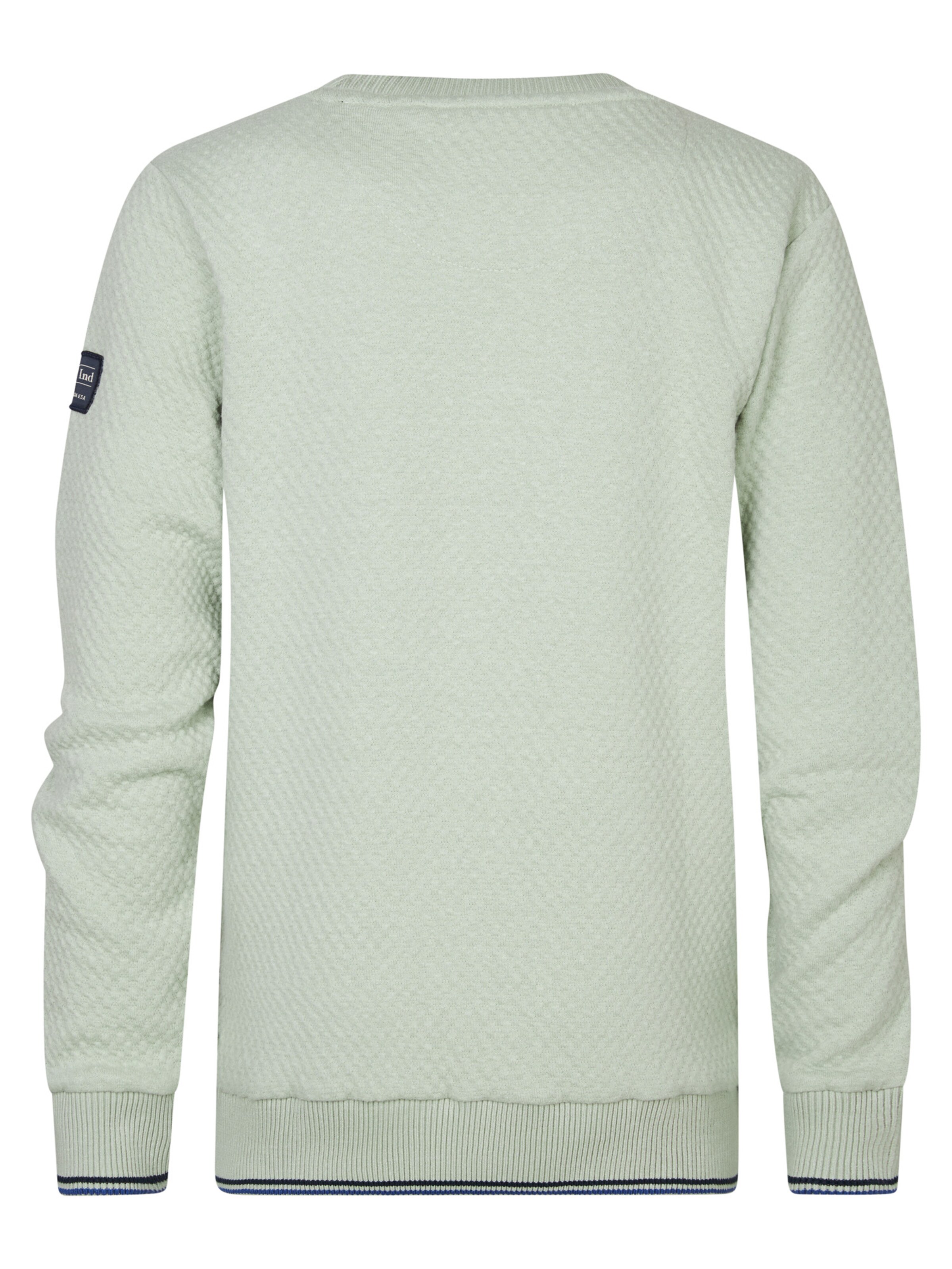 Petrol Industries Sweatshirt in Grün