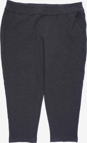 Lands‘ End Pants in 6XL in Grey: front