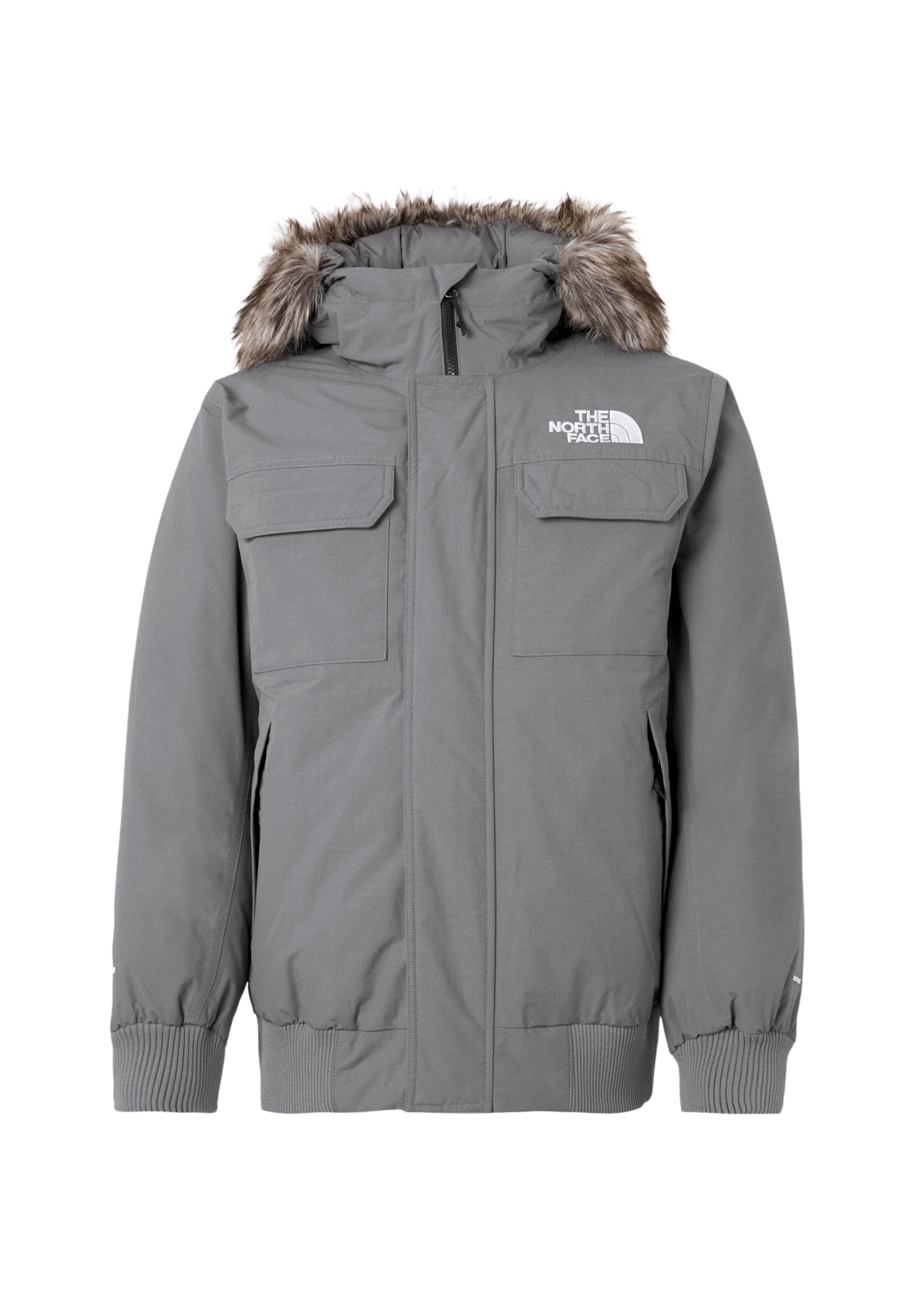 Giacca invernale 'MCMURDO' di THE NORTH FACE in grigio: frontale