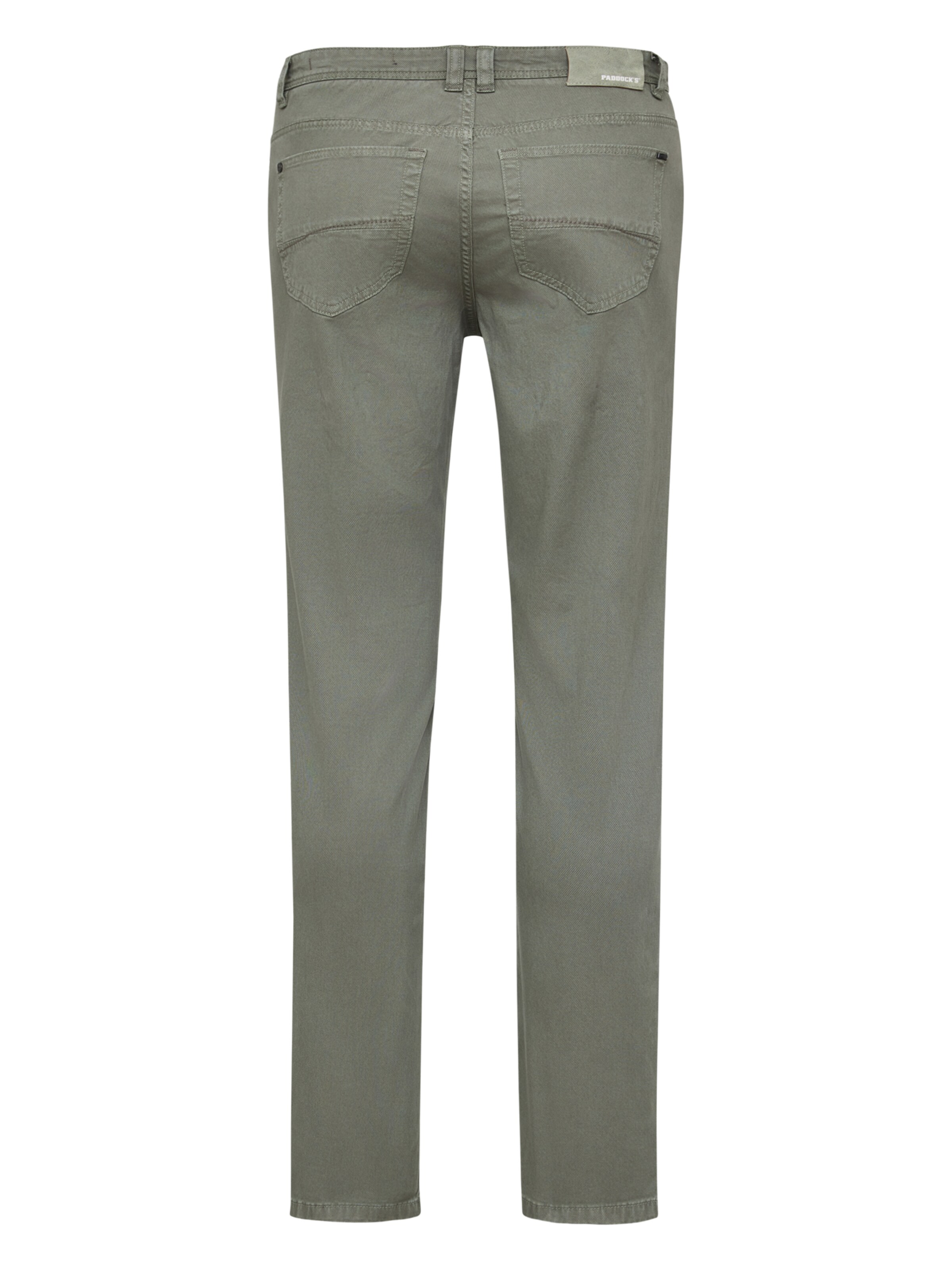 PADDOCKS Slim fit Pants in Green