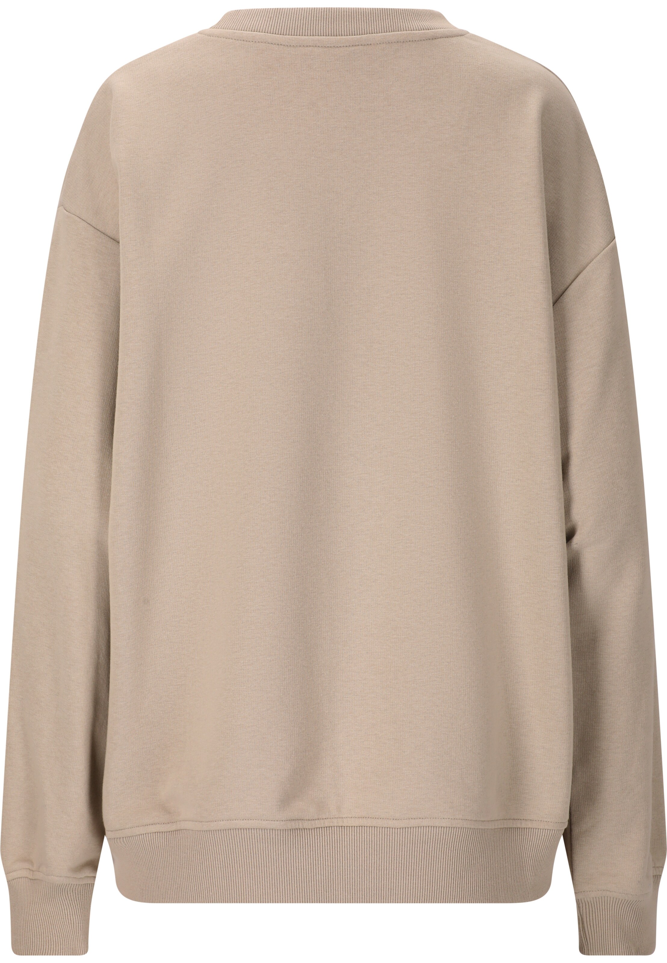 Cruz Sweatshirt 'Rusvil' in Grey